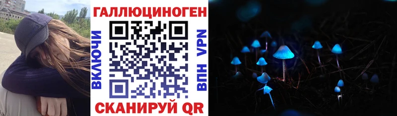Псилоцибиновые грибы мухоморы  купить наркотики сайты  Хабаровск 